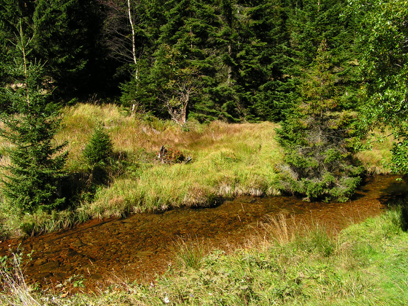 Czechia - Krkonoše - trekking to Sněžka 11