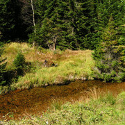 Czechia - Krkonoše - trekking to Sněžka 11