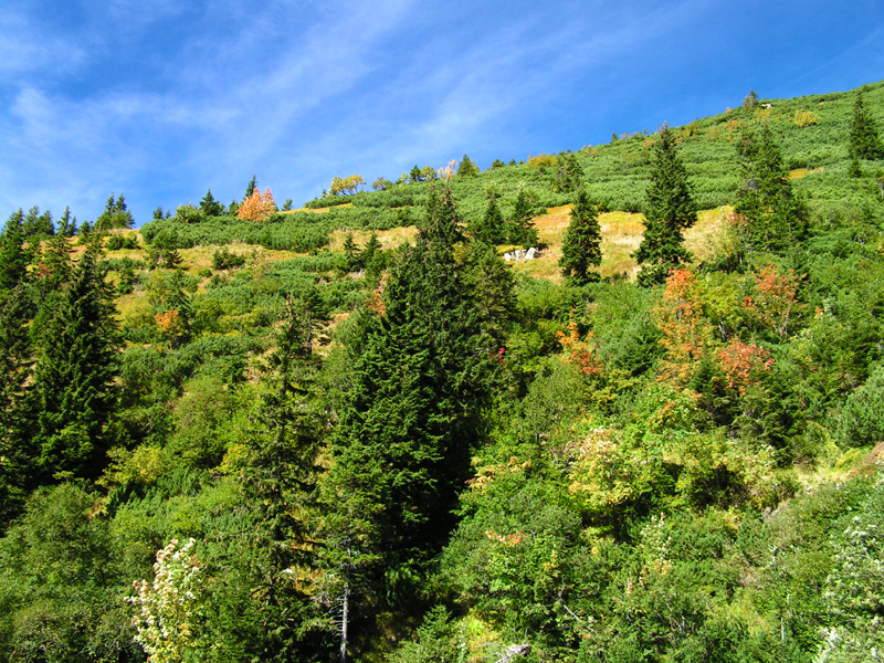 Czechia - Krkonoše - trekking to Sněžka 15