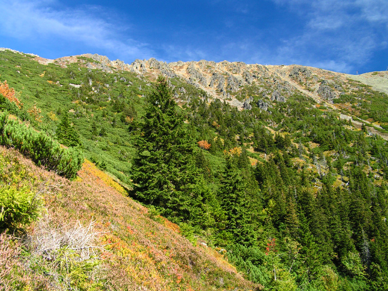 Czechia - Krkonoše - trekking to Sněžka 21