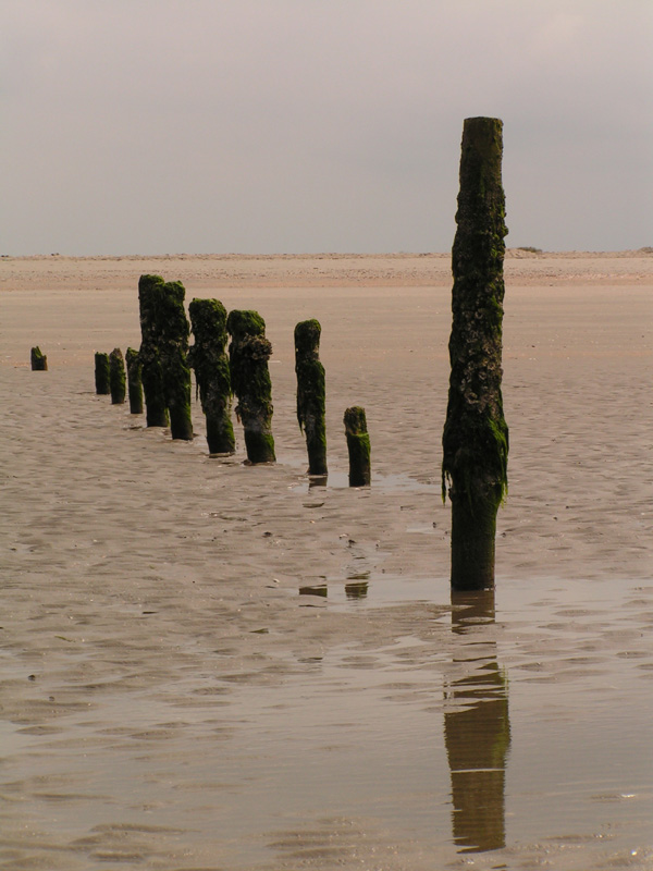 On a beach in Denmark 12