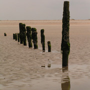 On a beach in Denmark 12