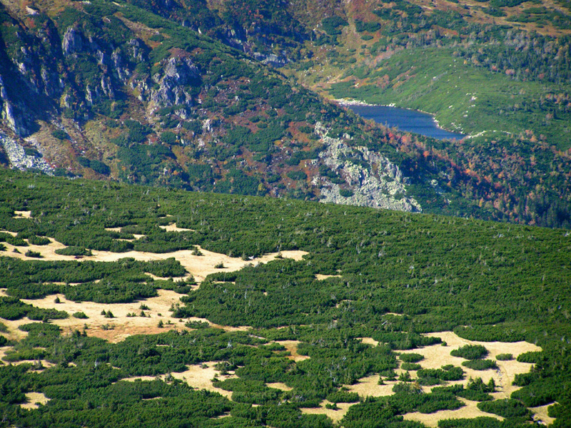 Czechia - Krkonoše - trekking to Mt. Sněžka 28