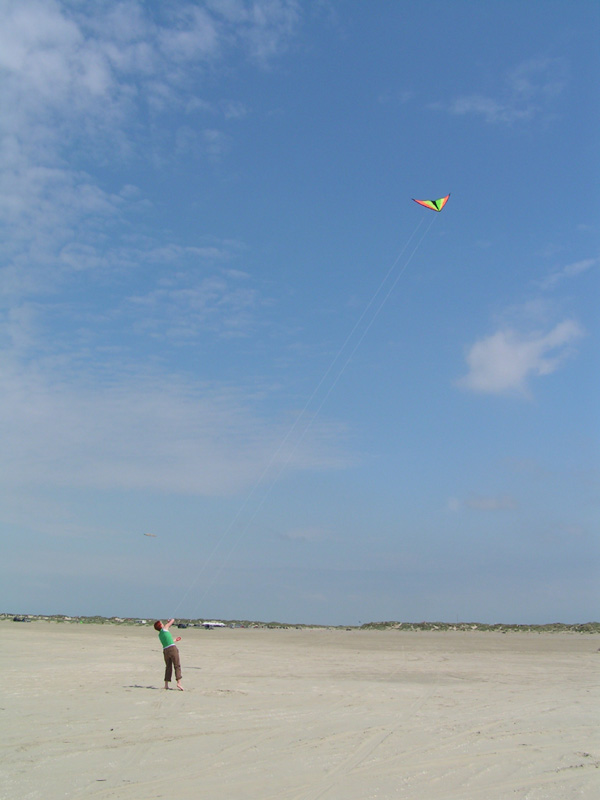 On a beach in Denmark 13