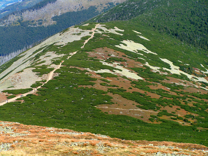 Czechia - Krkonoše - trekking to Mt. Sněžka 29