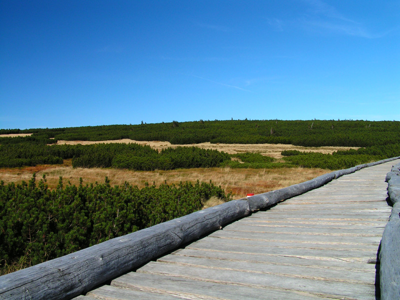 Czechia - Krkonoše - trekking to Mt. Sněžka 33