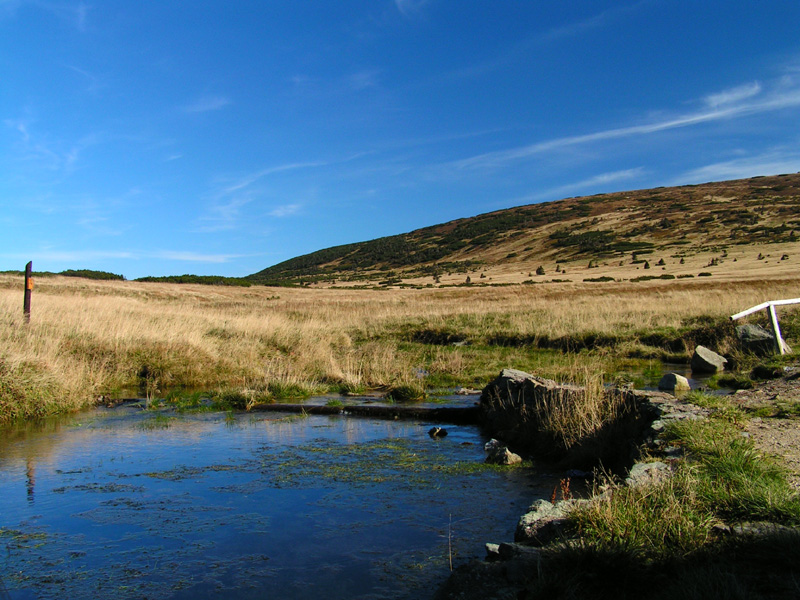 Czechia - Krkonoše - trekking to Mt. Sněžka 40