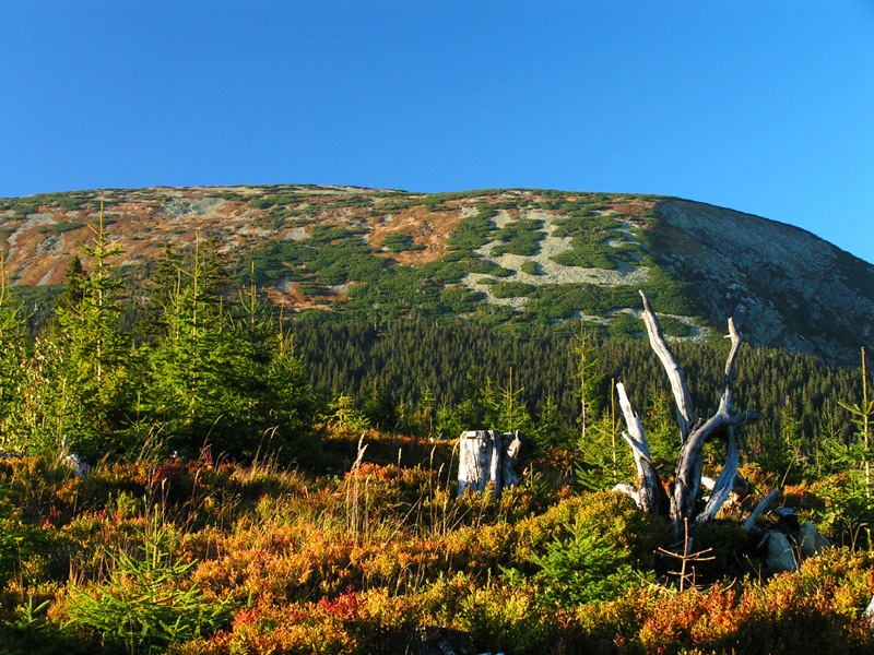 Czechia - Krkonoše - trekking to Mt. Sněžka 43