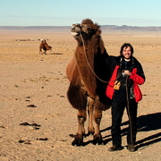 With a camel on the Gobi desert