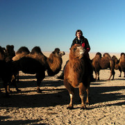 Gobi - Brano riding a Mongolian camel 02