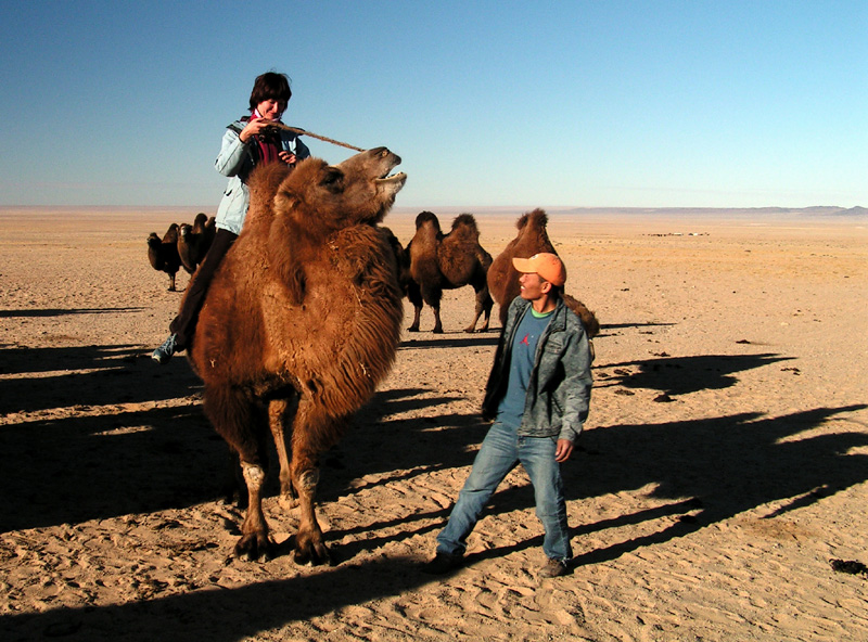 Gobi - Paula trying to brake a camel