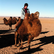 Gobi - Paula riding a Mongolian camel 01