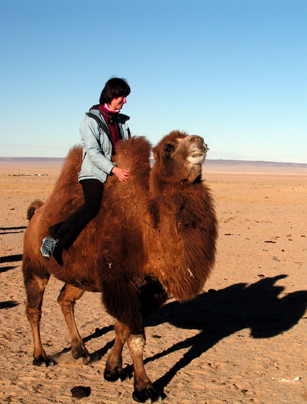 Gobi - Paula riding a Mongolian camel 03