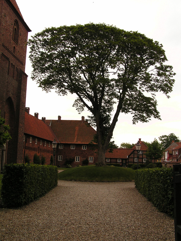 Denmark - Saint Catharinæ Church and Monastery in Ribe 02