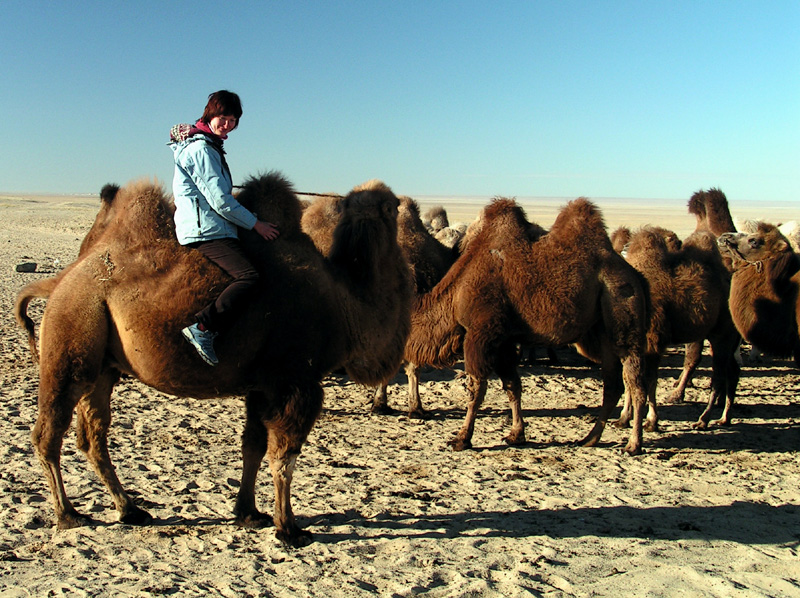 Gobi - Paula riding a Mongolian camel 04