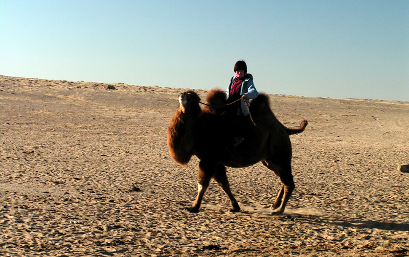 Gobi - Paula riding a Mongolian camel 05