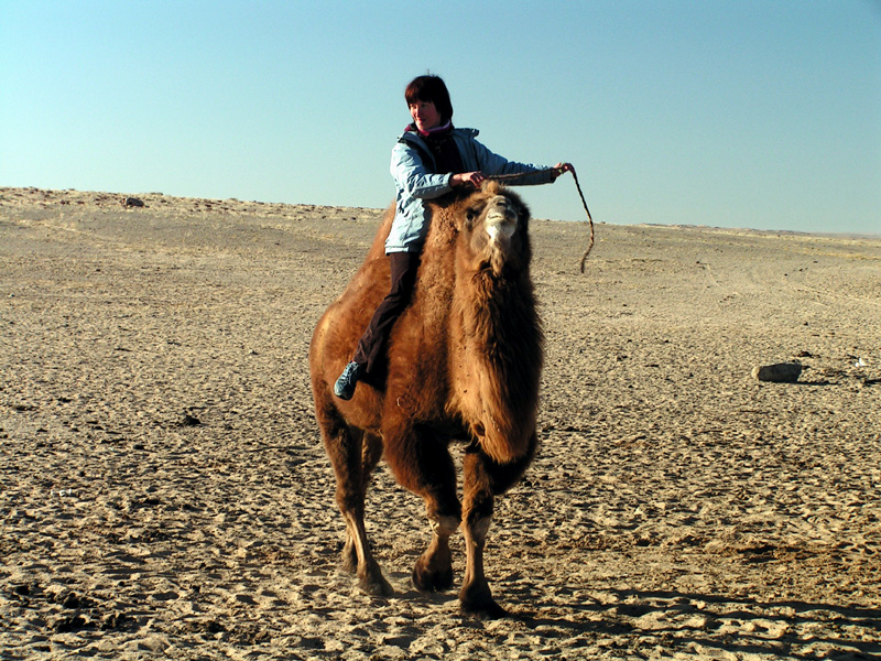 Gobi - Paula riding a Mongolian camel 06