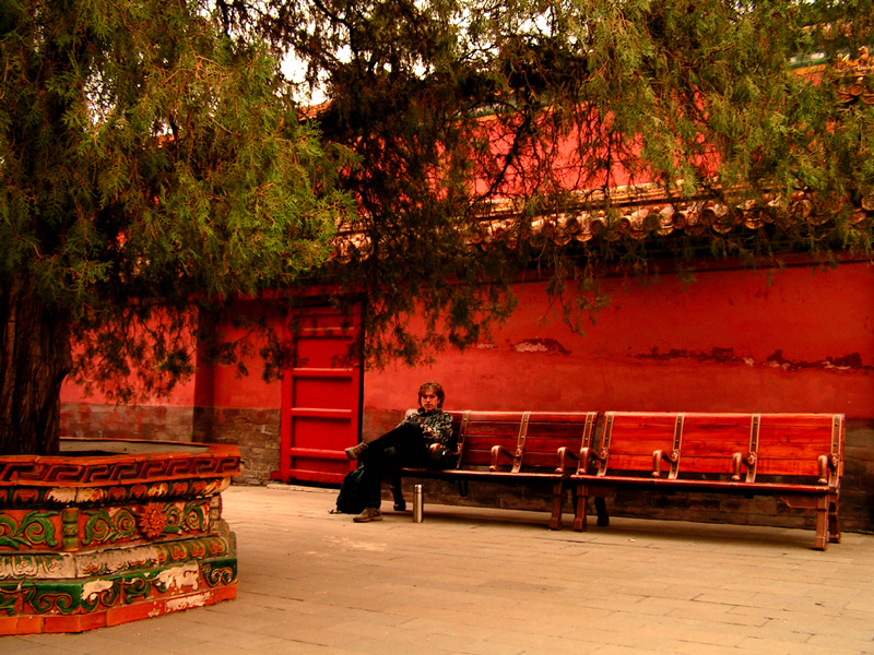 Beijing - Forbidden City 19