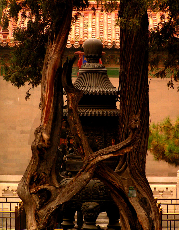 Beijing - Forbidden City 25