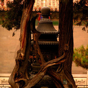 Beijing - Forbidden City 25