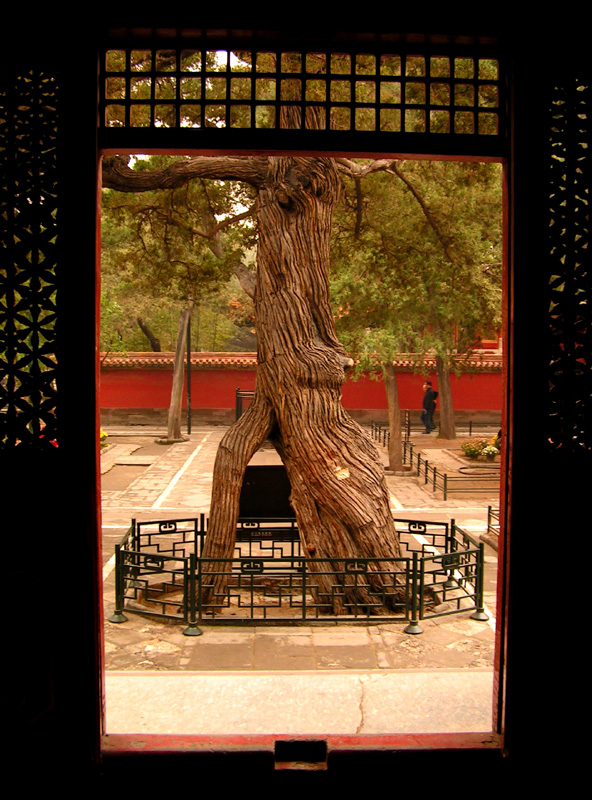 Beijing - Forbidden City 26