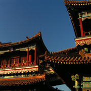 Beijing - The Lama Temple 08