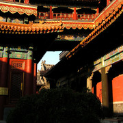 Beijing - The Lama Temple 14