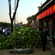 Beijing - fresh vegetables delivery :)