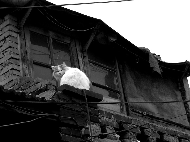 Beijing - Hutong tour 05