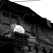 Beijing - Hutong tour 05