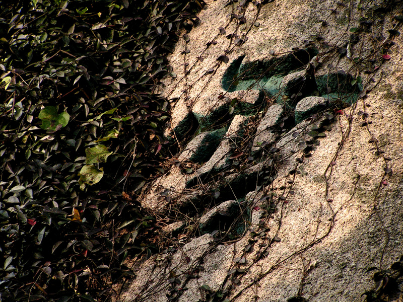 China - Mount Laoshan 07