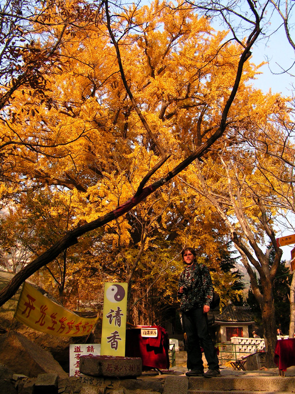 China - Mount Laoshan 13