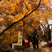 China - Mount Laoshan 13