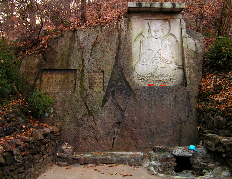 Buddha on a wall and a spring