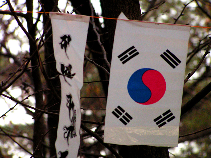 A Korean flag