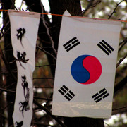 A Korean flag