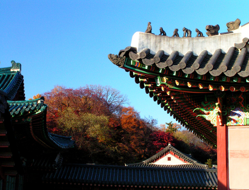 A Royal Palace in Seoul 10
