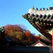 A Royal Palace in Seoul 10