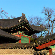 A Royal Palace in Seoul 12