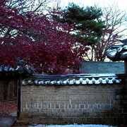 A Royal Palace in Seoul 17