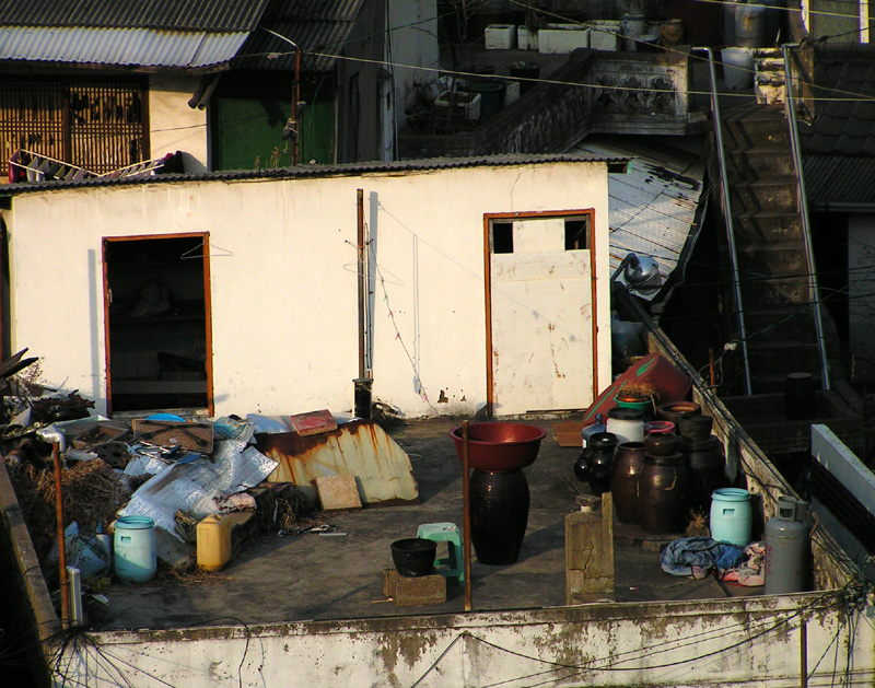 Kimchi on every roof  - Suwon