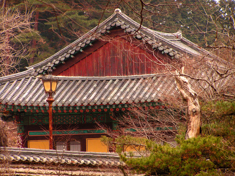 South Korea - trekking in Gyeryong-san mountain 03