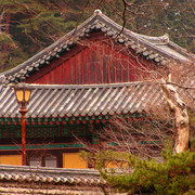 South Korea - trekking in Gyeryong-san mountain 03