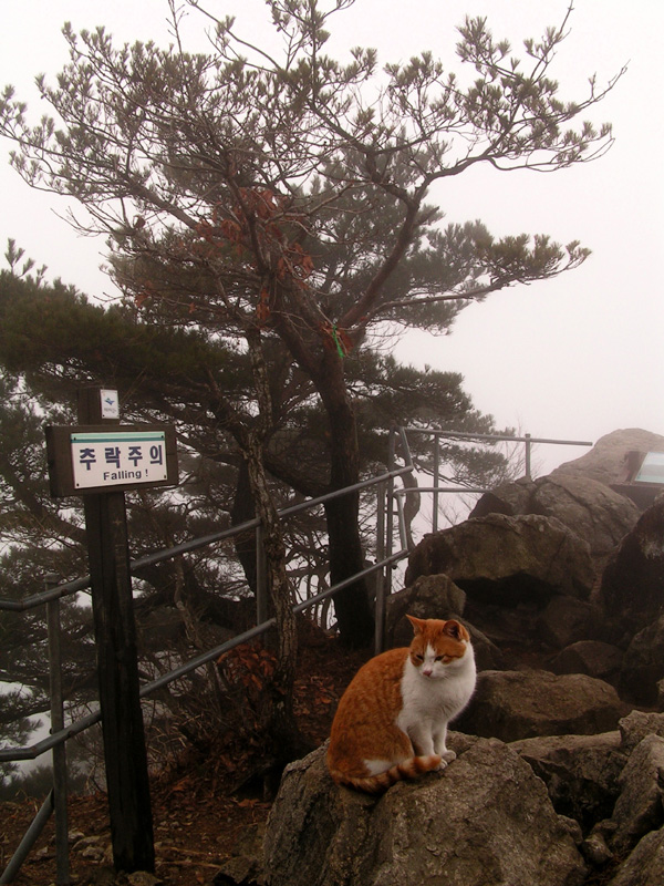 South Korea - trekking in Gyeryong-san mountain 09