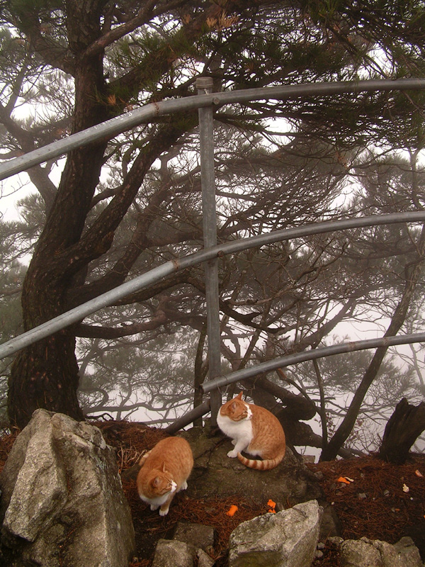 South Korea - trekking in Gyeryong-san mountain 11