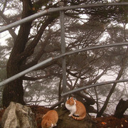 South Korea - trekking in Gyeryong-san mountain 11