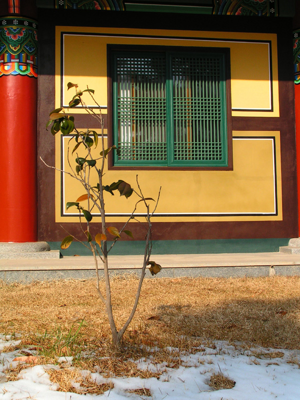 South Korea - Mu Sang Sa Temple 01