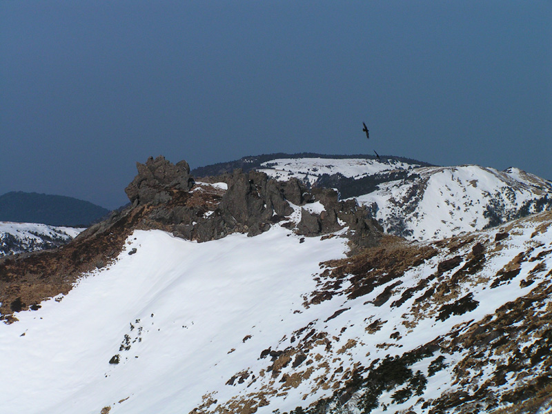 South Korea - Jeju Do Island - Mt. Hallasan 02