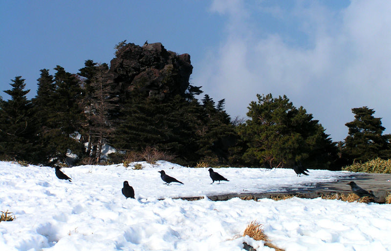 South Korea - Jeju Do - a trek to Mt. Hallasan 17