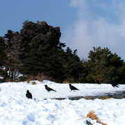 South Korea - Jeju Do - a trek to Mt. Hallasan 17